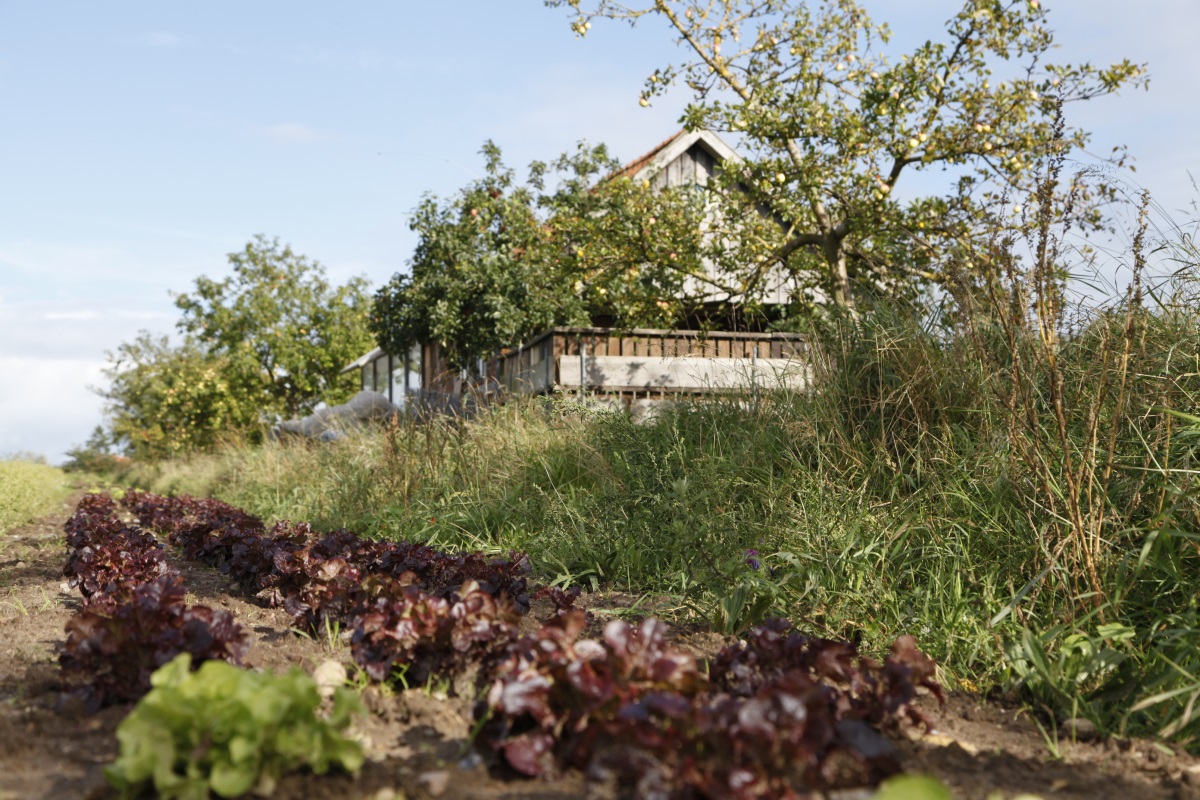 Obstbau – Apfelsaft in Glasflaschen